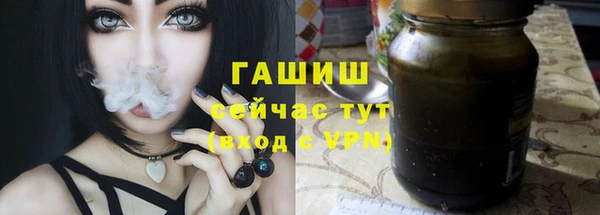 эйфоретик Михайлов