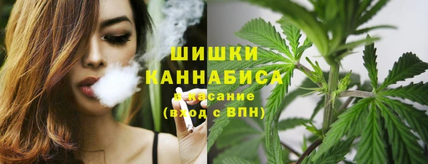 эйфоретик Михайлов