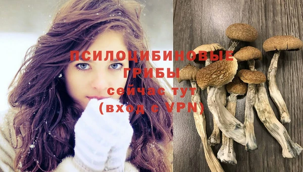 эйфоретик Михайлов