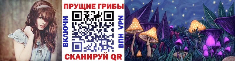 Псилоцибиновые грибы Cubensis Кострома