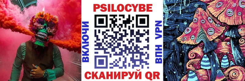 как найти наркотики  Кострома  Галлюциногенные грибы Magic Shrooms 